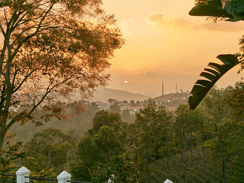 fairy-glen-ooty